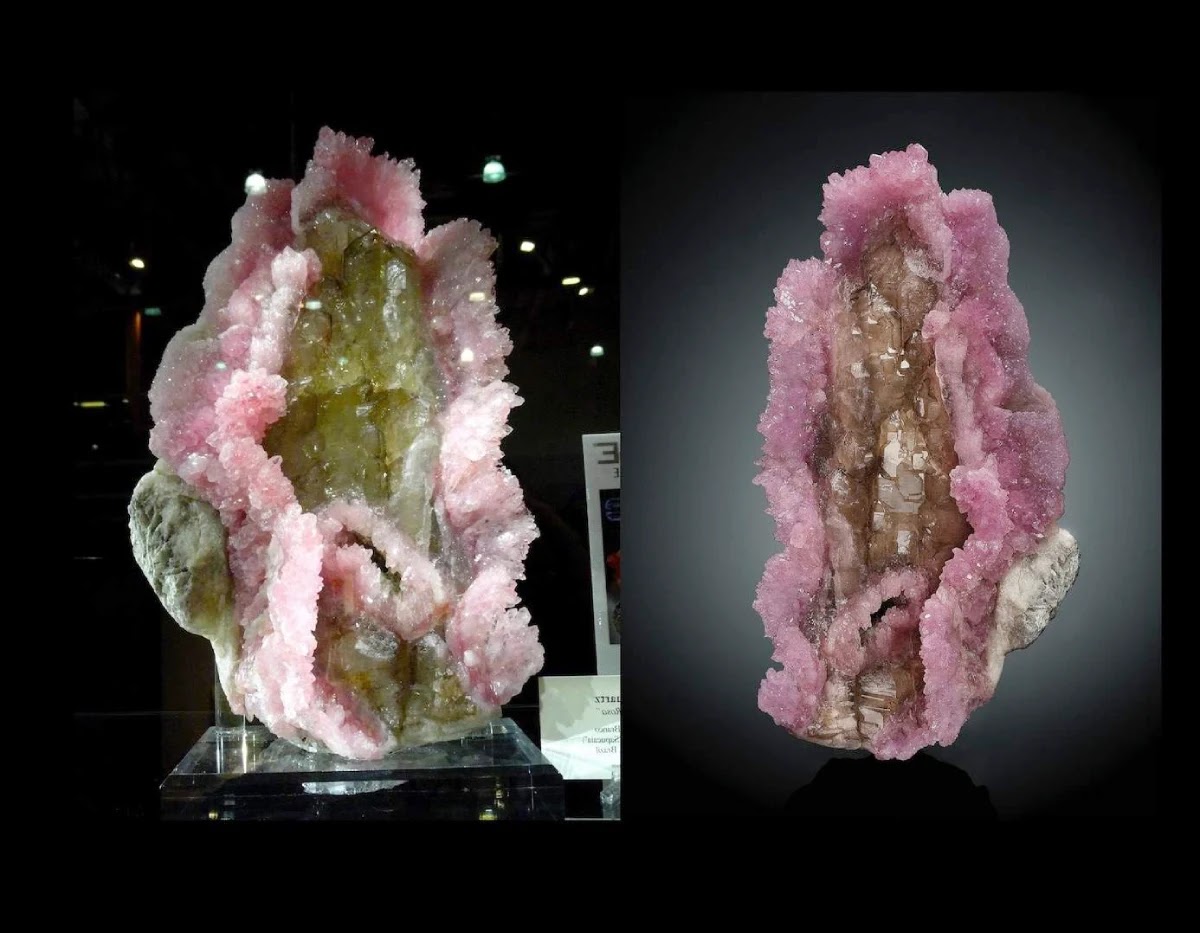 Sold at Auction: Pink Coral Specimen