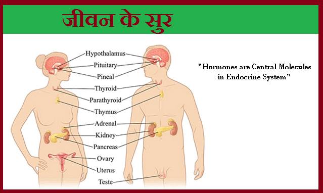 जीवन के सुर