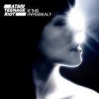 Atari Teenage Riot: Is This Hyperreal?