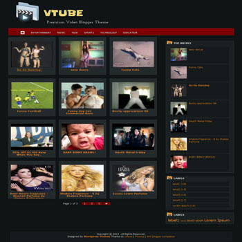 VTube blogger template. template video for blogger. blog video template