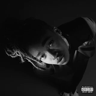 Album portada de "GREY Area" de rapera britanica LITTLE SIMZ 2019