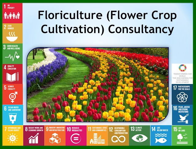 Floriculture / Flower Crop Cultivation Agribusiness Consultancy,  Agriculture Commodities Export Agribusiness Consultancy,  Agriculture / Food Value Chain Assessments Agribusiness Consultancy, Stevia Crop Cultivation Consultancy in India, Backward and Forward Market Linkages Consultancy for Agriculture Production, Guar Seed / Guar gum (cyamopsis tetragonoloba) Crop Cultivation Consultancy, Agriculture Training Consultancy / Agriculture Technology training Agribusiness Consultancy, Agriculture Project Report Agriculture / Agribusiness Consultancy,  Aeroponic Cultivation Consultancy, Agri Business Consultancy, Agribusiness Consultancy, Agribusiness Manpower Consultancy, Agribusiness Market Research, Agribusiness Professional Recruitment Consultancy, Agribusiness Project Report, Agricultural Consultancy, Agricultural Mechanization Consultancy, Agricultural Project report, Agriculture Commodity Procurement Planning, Agriculture Consultancy, Agriculture Implements Consultancy, Agriculture Industry Research Report, Agriculture Land Selection Consultancy, Agriculture Market Research, Agriculture Project Report, Agriculture Technology Exposure Tour, Agriculture Tour, Agriculture Training, Aromatic Plantation Consultancy, Beekeeping or Apiculture Consultancy, Bio Diesel Crop Plantation Consultancy, Biofuel Crop Cultivation Consultancy, Dairy Farming Consultancy:-, Exotic Vegetable Cultivation Consultancy, Export Import Of The Agricultural Commodity, Flower Cultivation/ Floriculture consultancy, Food Processing Industry Consultancy, Green House Consultancy, Guar Gum Cultivation Consultancy, Guar Gum Processing Consultancy, Guar Gum Seed Cultivation Consultancy, Guar Seed Cultivation Consultancy, Horticulture Consultancy, Hydroponics Cultivation Consultancy, Irrigation Management Consultancy, Jatropha Oil Sourcing Consultancy, Medicinal Plantation Consultancy, Mushroom Farming / Production Consultancy, Neem Oil Sourcing Consultancy, Olive Cultivation Consultancy, Organic Agriculture Consultancy, Organic Certification Consultancy, Organic Farming Consultancy, Plant Tissue Culture Laboratory Consultancy, Poultry Farming Consultancy, Soil and water Testing Consultancy, Spices Cultivation Consultancy, Stevia Cultivation Consultancy, Supply Chain Report Of Agriculture Commodities, Urban Agriculture Consultancy, Vegetables Cultivation Consultancy, Vermicompost Production Consultancy, Vermicompost Sourcing Consultancy, Hydroponics Consultancy, Agrotech Agriculture Consultancy