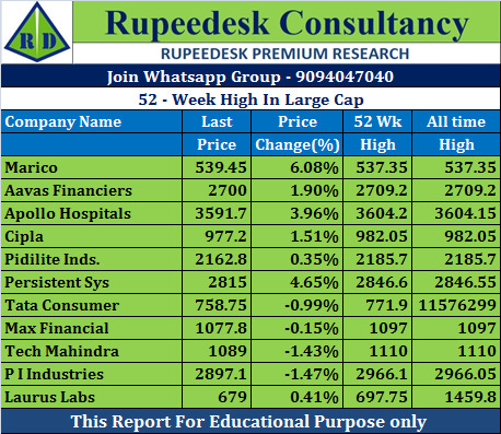 52-Week High In Large Cap