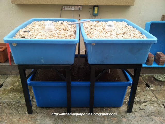 Affnan's Aquaponics: Setting Up A Simple Aquaponics System