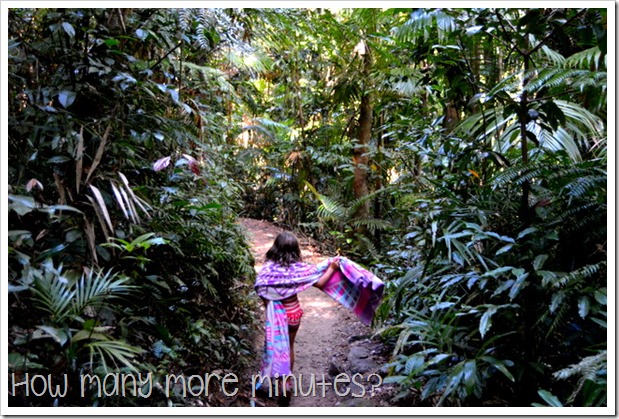 Finch Hatton Gorge | How Many More Minutes?