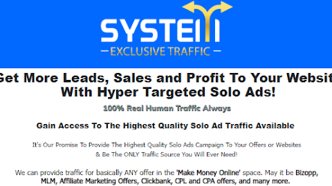 "System Exclusive Traffic: The Road to Targeted and Effective Online Marketing"