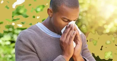 Natural Remedies for Seasonal Allergies: Bid Farewell to Sniffles and Sneezes