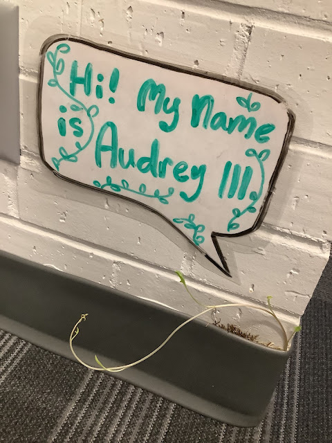 A vine grows from a corner and says, “my name is Audrey III”