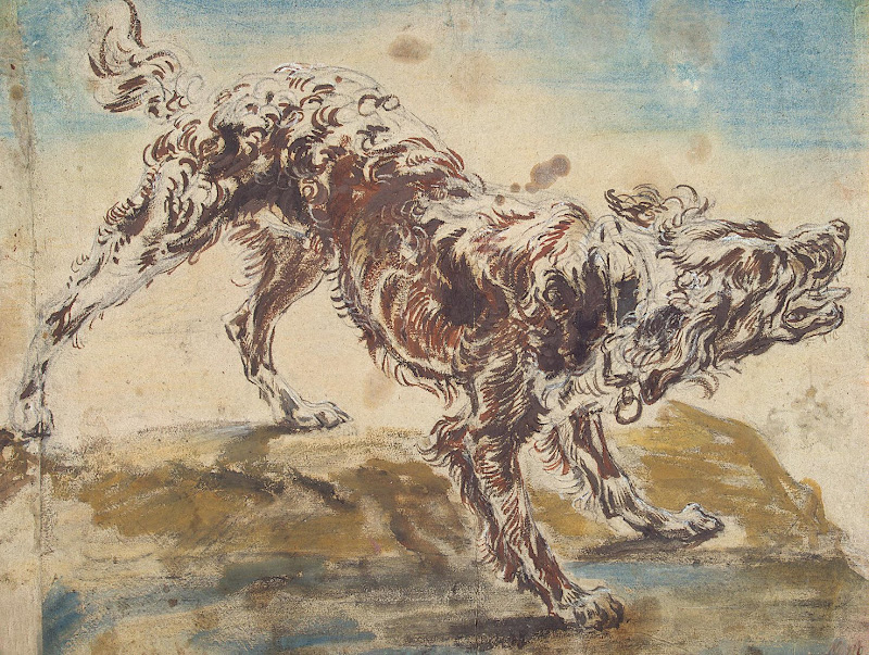 Study of a Dog by Jan Fyt - Animal Drawings from Hermitage Museum