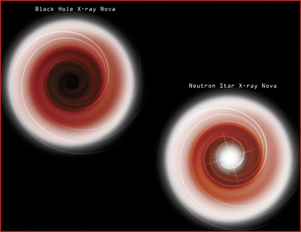 Black Hole Neutron Star