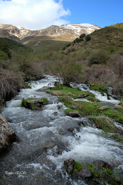 Jérez del Marquesado, Barranco el Alhorí, Sierra Nevada, Picón