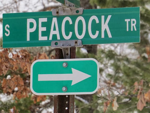 peacock trail street sign