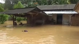 1.290 Rumah dan 372 Hektare Sawah Siap Panen Terendam banjir Di Tanggamus