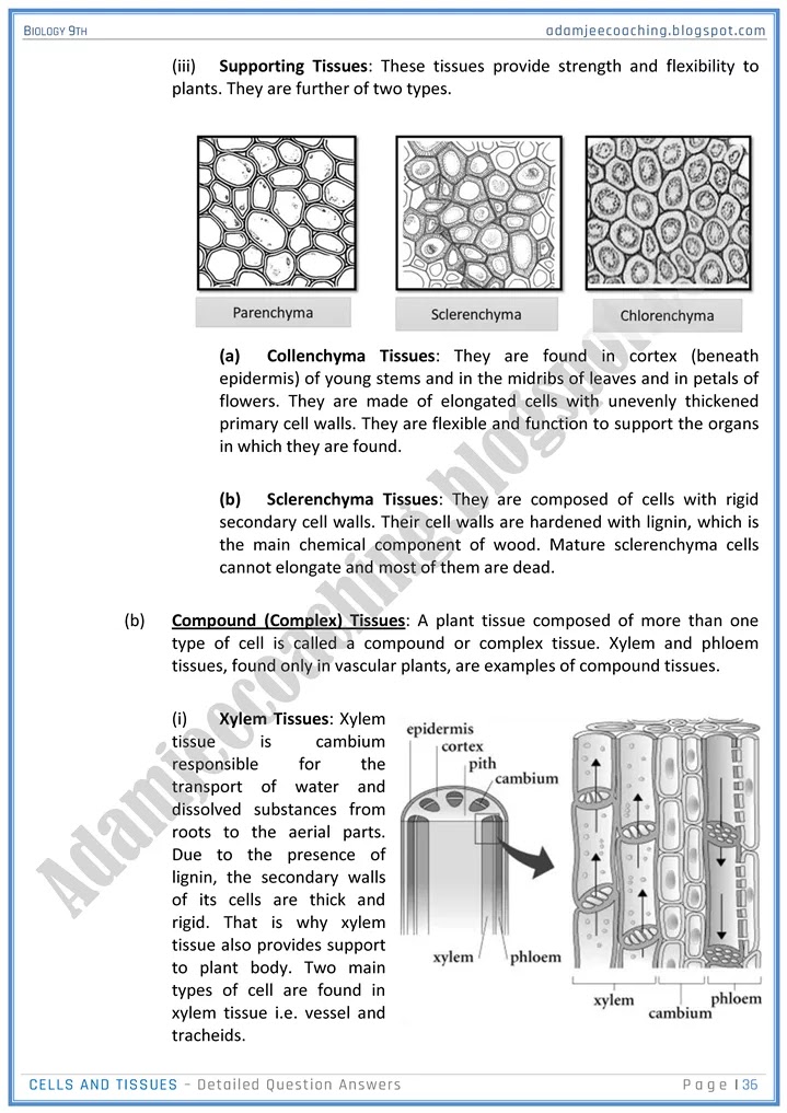 cells-and-tissues-detailed-question-answers-biology-9th