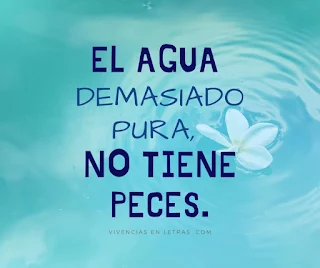 agua clara con frase