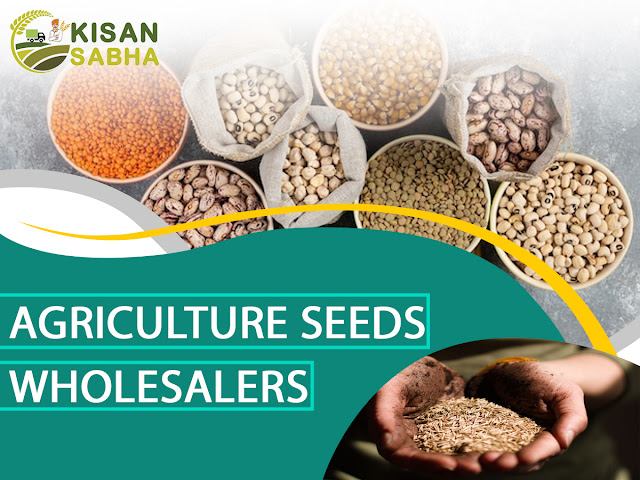 Agriculture Seeds Wholesalers
