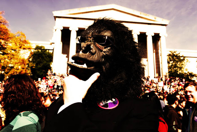 A very formal gorilla mask costume at the Rally to Restore Sanity and/or Fear in Washington D.C.