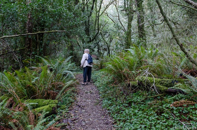 humbug Mountain trail