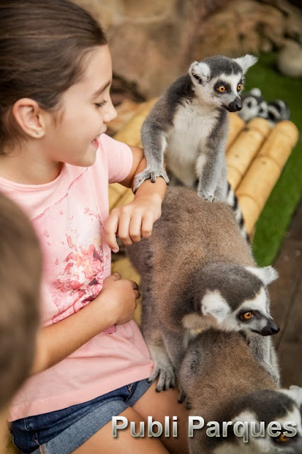 Niña interactuando con animales