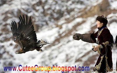 Golden Eagle Hunting in Kazakhstan