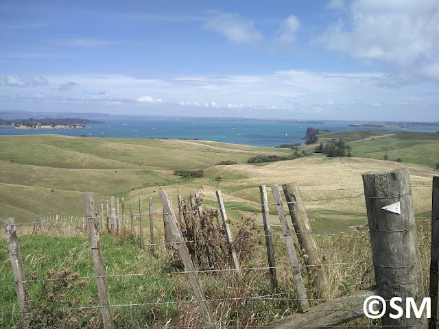 Photo de vue sur les chemins de Motutapu Auckland Nouvelle-Zélande 