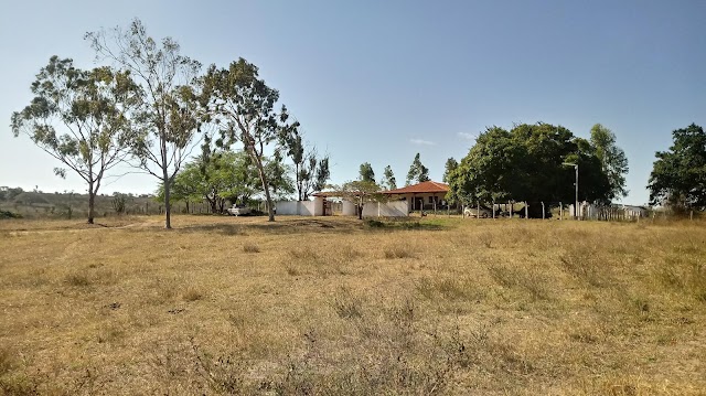 O RIO PARAÍBA DO MEIO TEM COMO BERÇO DE NASCIMENTO A FAZENDA SÃO JOÃO HÁ MAIS DE UM SÉCULO