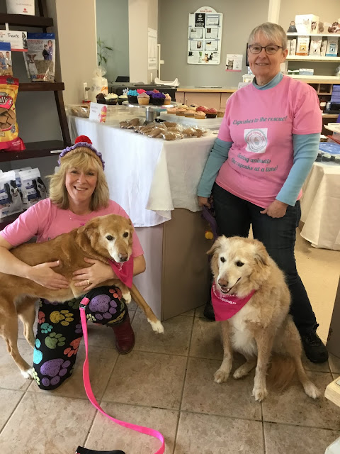 COVID-19 impacts how OSPCA celebrates National Cupcake Day on February 22, 2021