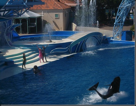 2010-08-SanDiegoSeaWorld01