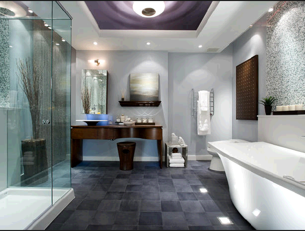 Candice Olson Bathroom Designs Ideas