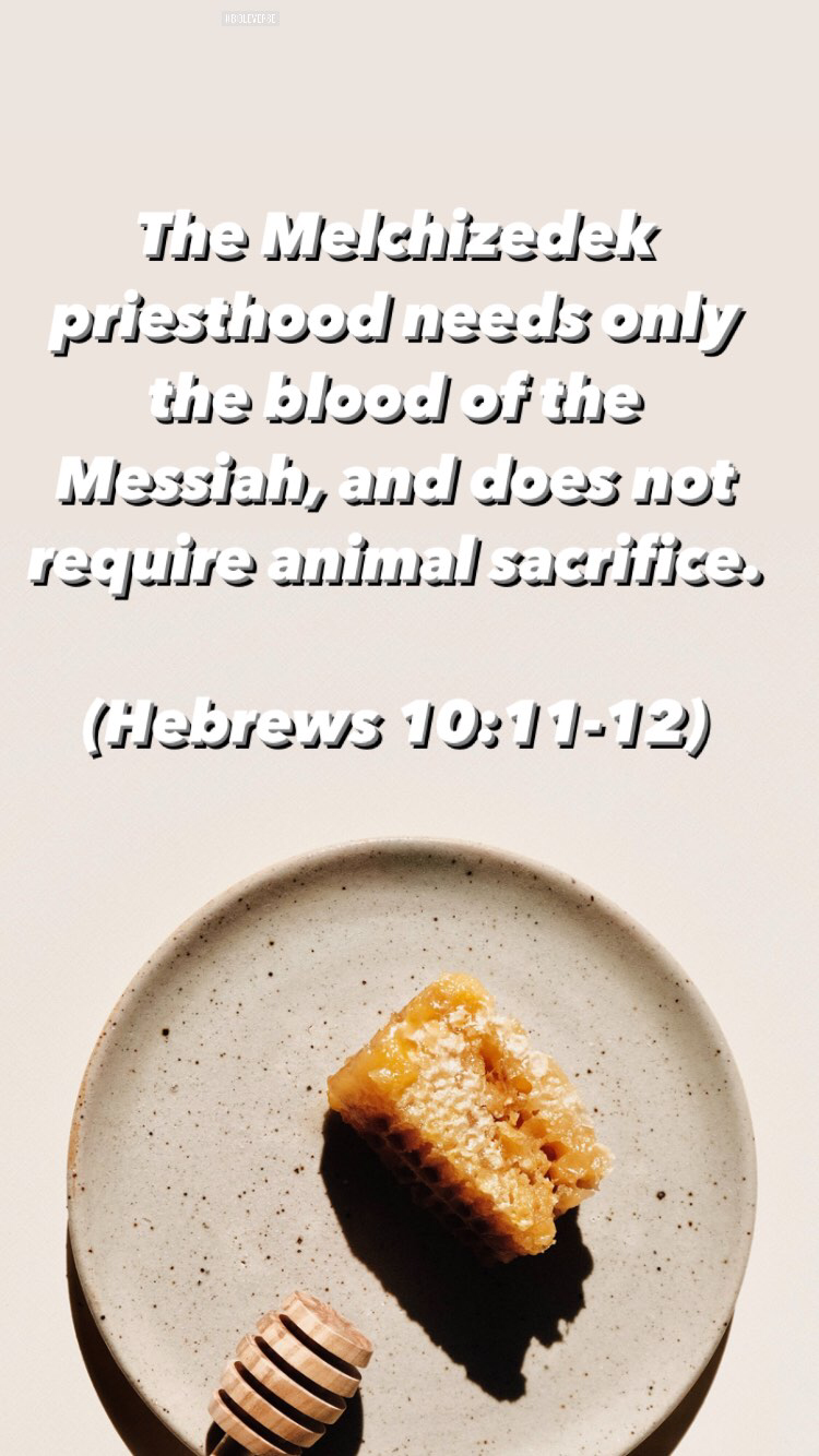 Key Differences Between the Melchizedek and Levitical Priesthoods | Land of Honey