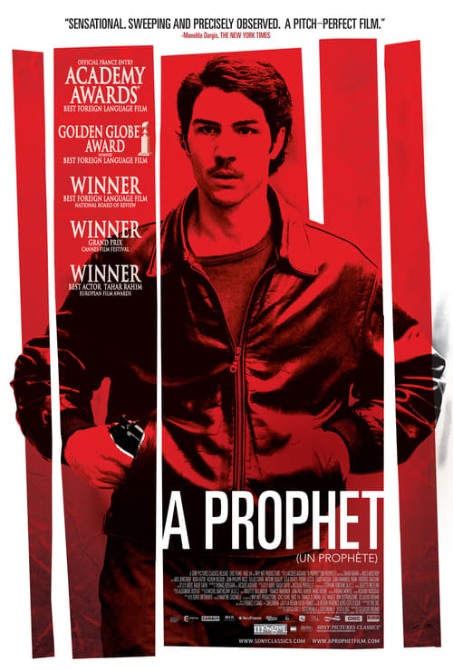 Descargar Un profeta 2009 Blu Ray Latino Online