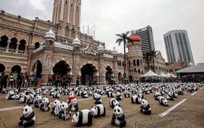 Segerombolan Panda Berkampung di Dataran Merdeka | FAKTA UNIK PANDA