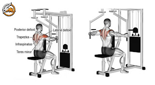 Best Back Workout For V-Taper