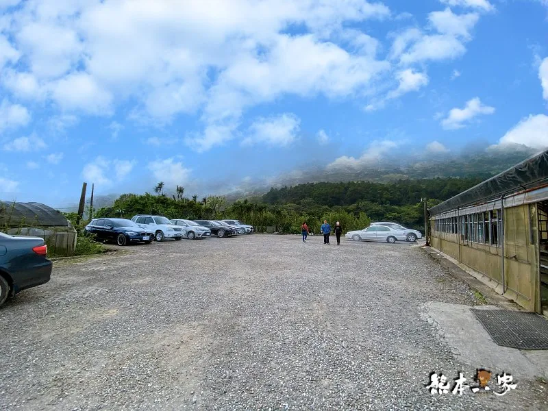 山中園自採海芋｜特別的海芋梯田