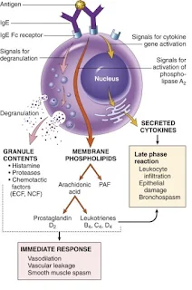 Pengertian dari Patogenesis dan Virulensi