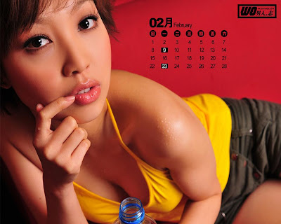 Sexy Girl Calendar 2009