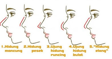 5 Arti Hidung Yang Mengungkap Kepribadian