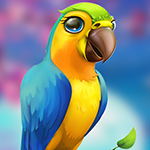 Games4King Little Parrot Escape