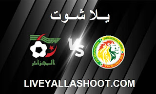 مشاهدة مباراة الجزائر والسنغال بث مباشر يلا شوت اليوم 12-9-2023 في مباراة ودية