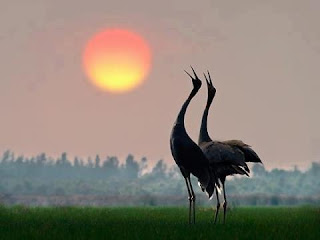 ภาพวิวตอนเช้าสวยๆ, ภาพดอกไม้ยามเช้าสวยๆ, ภาพยามเช้าสดใส, รูปพระอาทิตย์ขึ้นตอนเช้า, รูป ดอกไม้ สวัสดี ตอน เช้า, ภาพธรรมชาติยามเย็น, ภาพสวัสดีตอนเช้าสวยๆ, รูป ธรรมชาติ ยาม เช้า 2011, ภาพ ดอกไม้ สวย ๆ น่า รัก ๆ