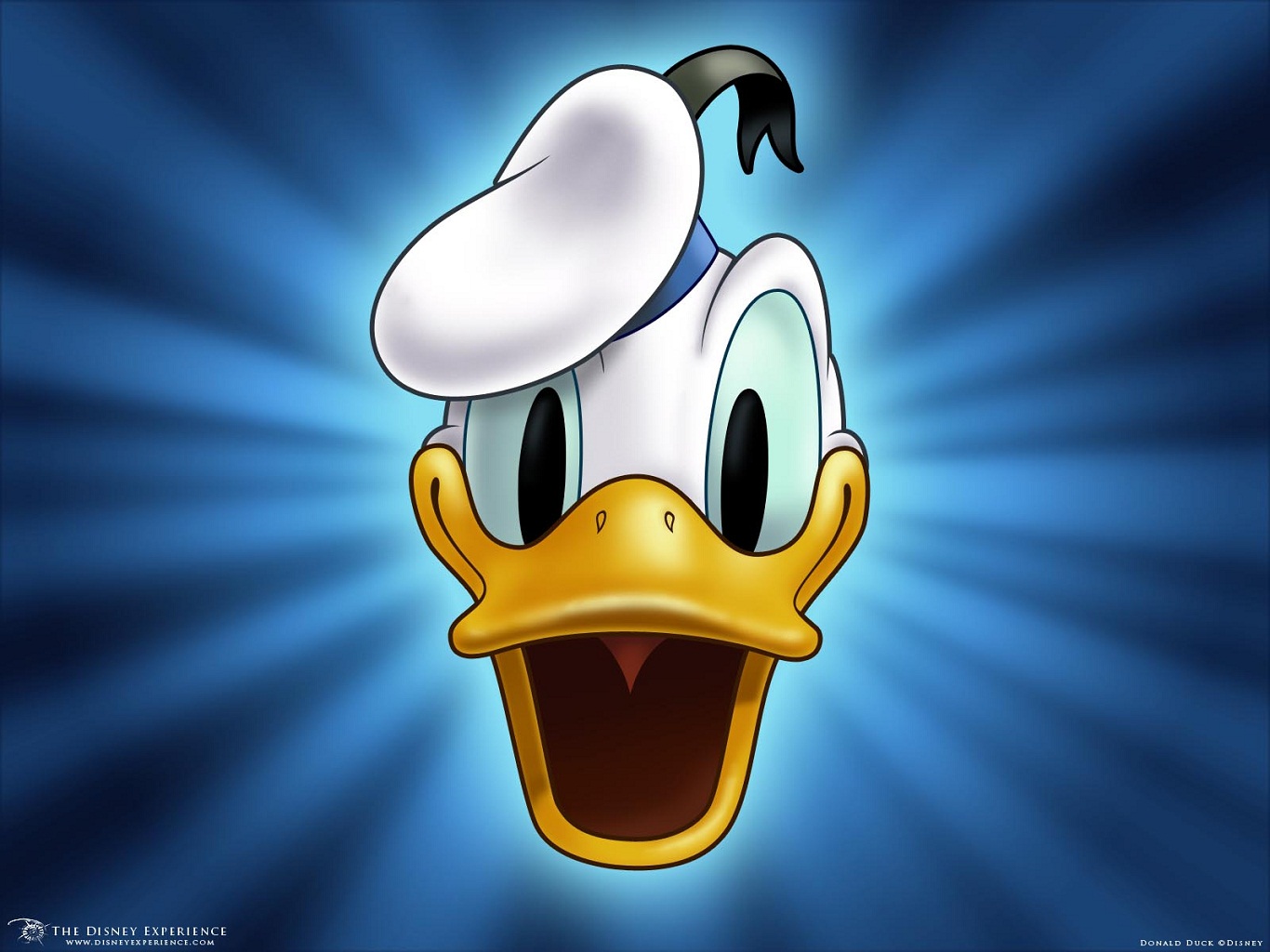Donald Duck Song Disney Wallpapers 1366X768