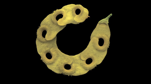 seedbank2.jpeg