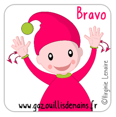 aimant flexible - bravo