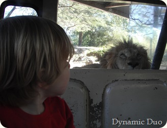 rals with lion eating behind him