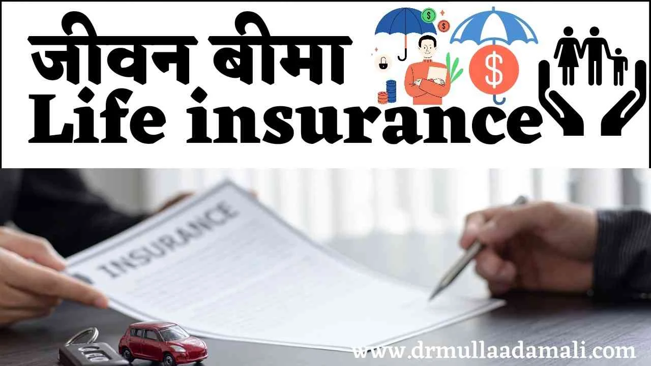 Best Life Insurance Quotes In Hindi