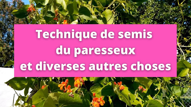 Technique de semis du paresseux et diverses autres choses (vidéo)