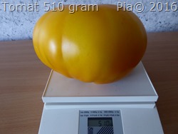 P1110881