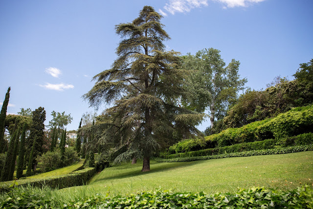 Сады Клотильды в Льорет де Мар (Jardines de Santa Clotilde, Lloret de Mar)