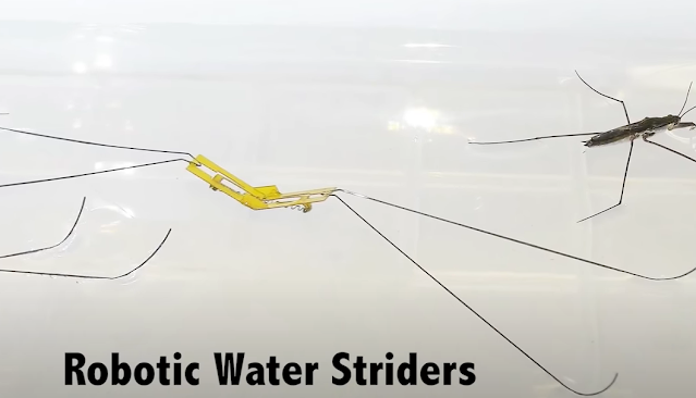 Robotic Water Striders