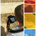 Rainbow Photo Hunt STEAM Activity